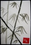bamboo 045