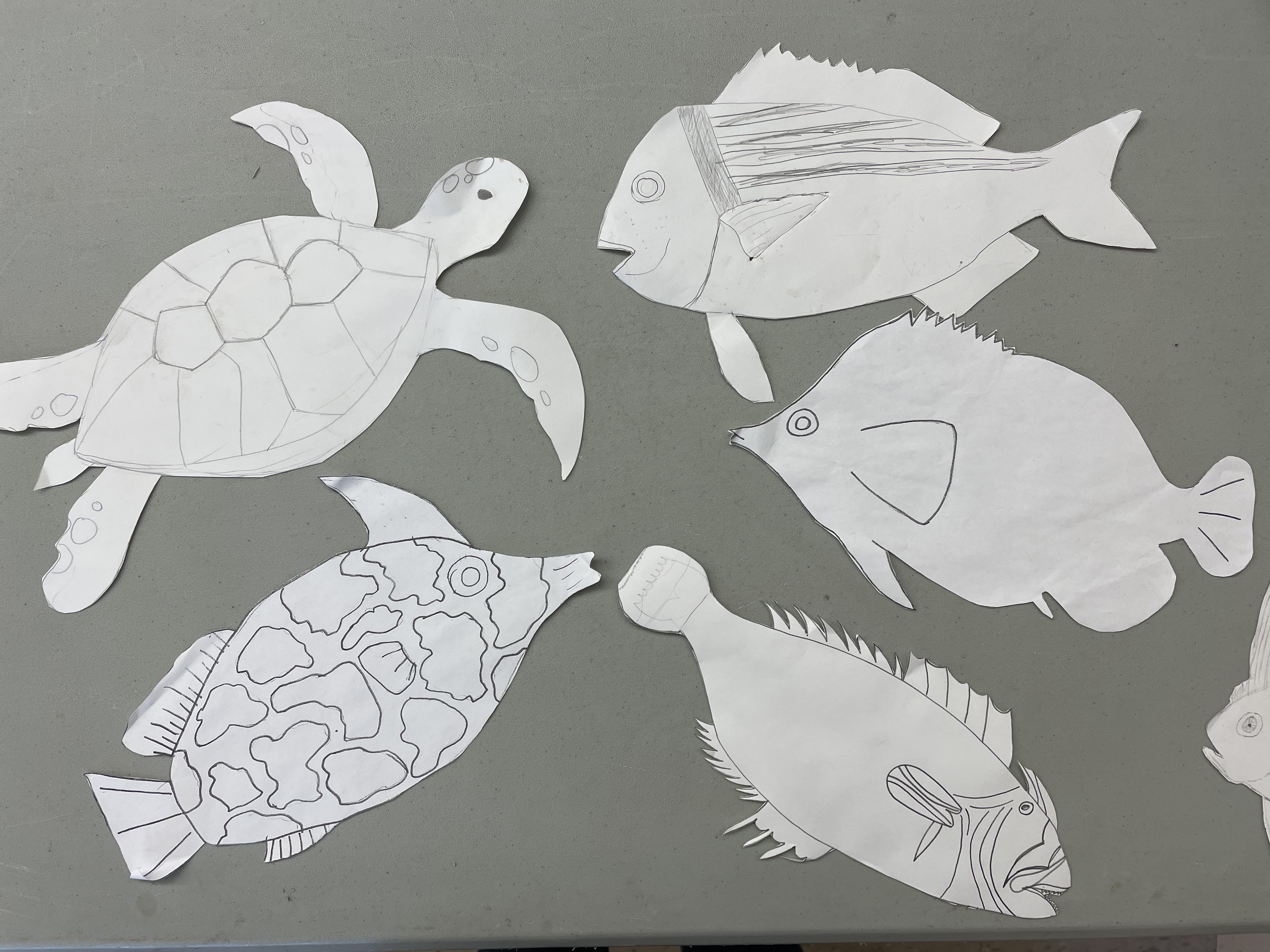 fish-drawingsa